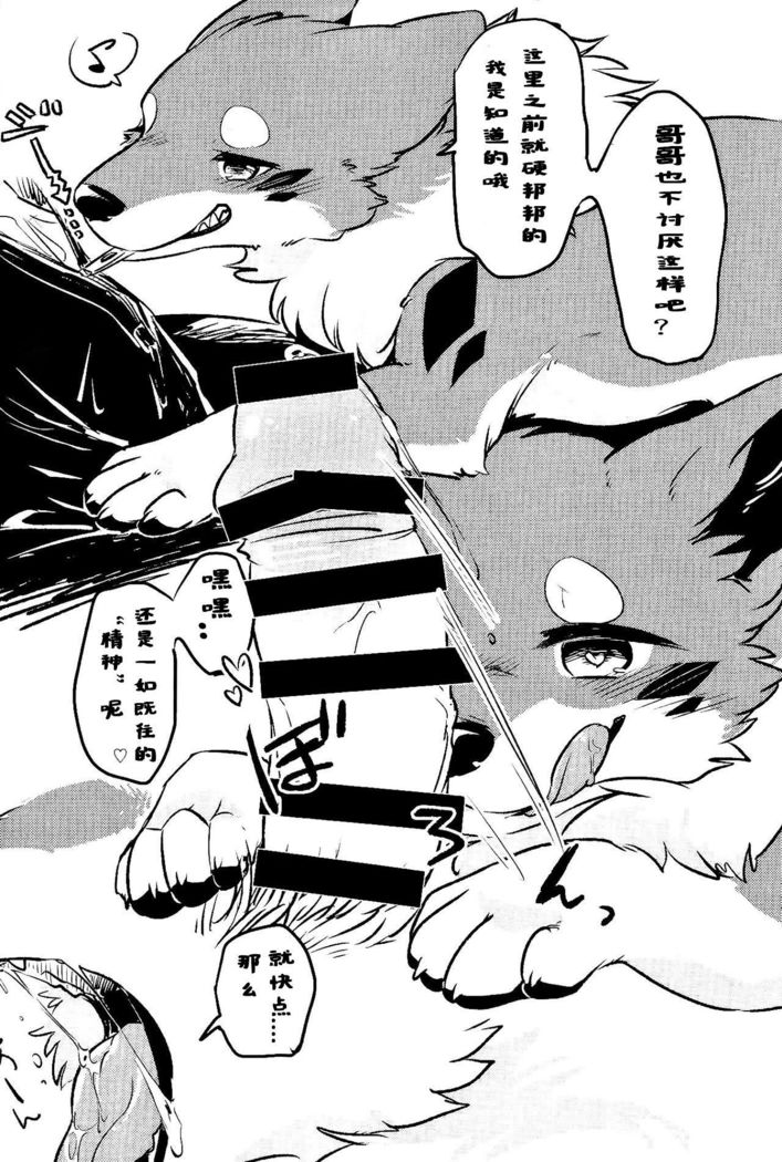 きつねぬにのまそ！？ |让狐犬喝酒！？
