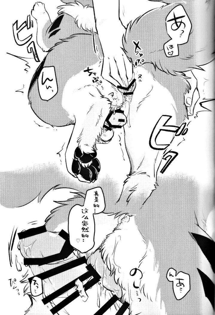 きつねぬにのまそ！？ |让狐犬喝酒！？