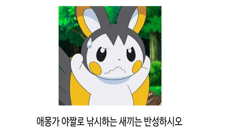 オキテ| 규칙