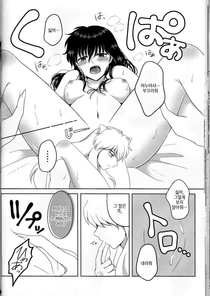 恋ぐすり-ラブドラッグ| 사랑의묘약