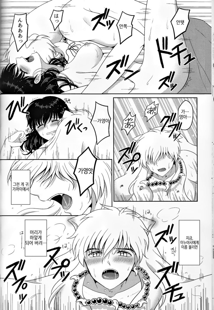 恋ぐすり-ラブドラッグ| 사랑의묘약