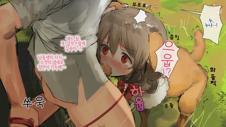 びじんめにぬの会方