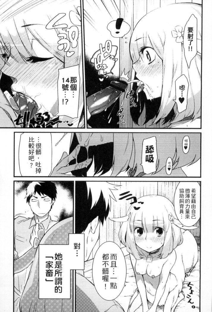 鬼ヶ島の許嫁 鬼島的許婚