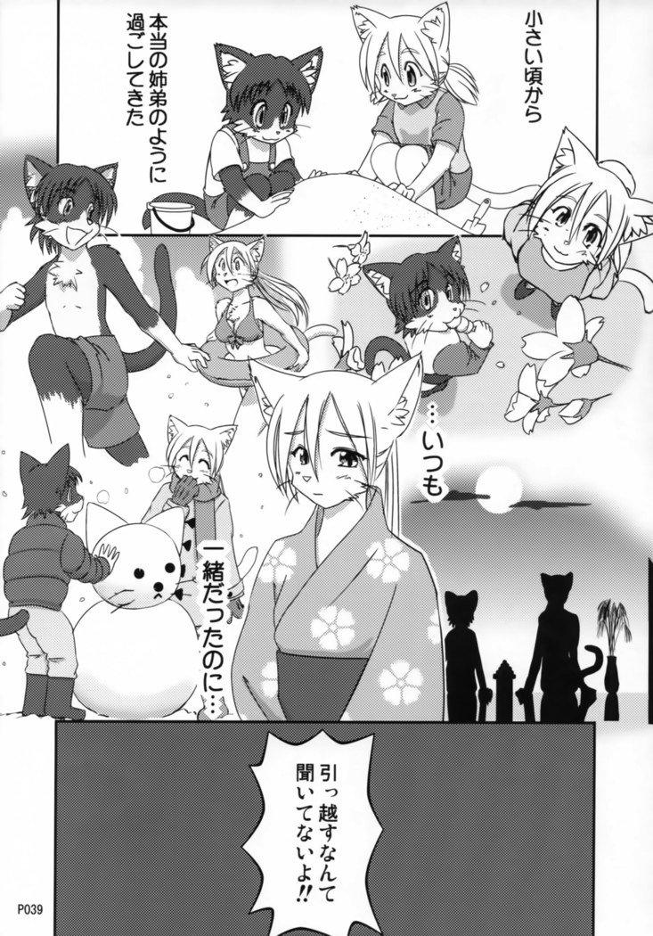 TABOO2私の小さな王子