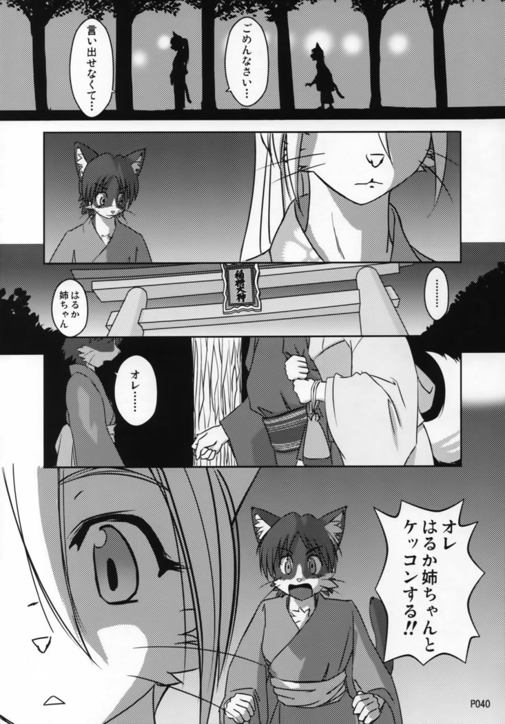 TABOO2私の小さな王子