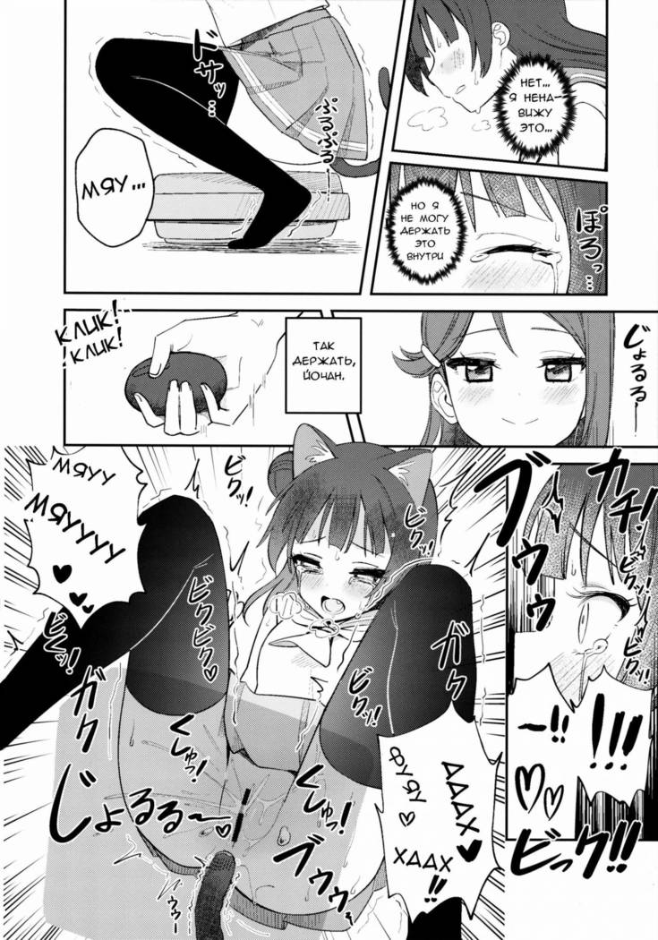 よはねこちょうきょう日記よはねこトレーニング日記