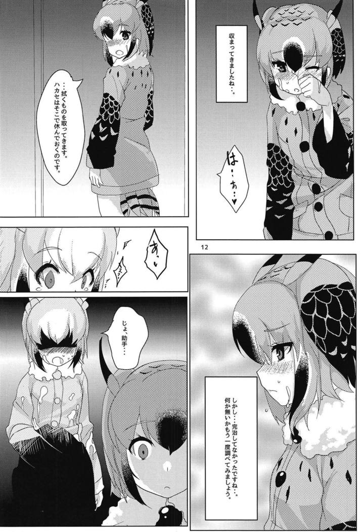 はかせの城州さん