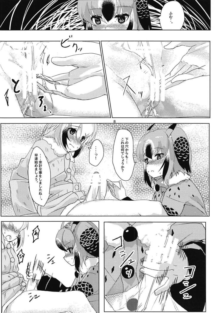 はかせの城州さん
