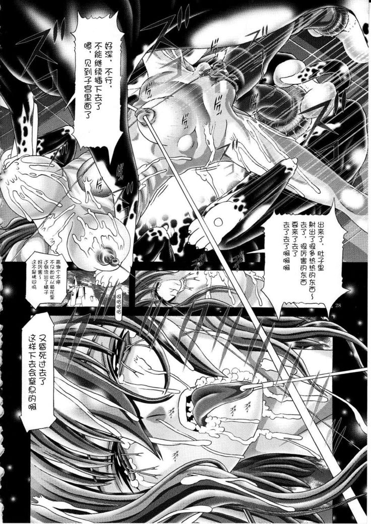 RANDOM NUDE Vol.592【ステラル・ルーシェ】【中国語】