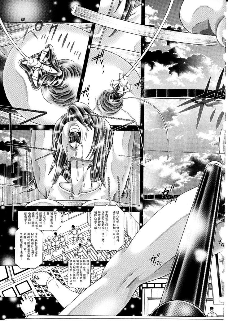 RANDOM NUDE Vol.592【ステラル・ルーシェ】【中国語】