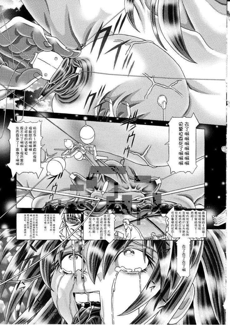 RANDOM NUDE Vol.592【ステラル・ルーシェ】【中国語】