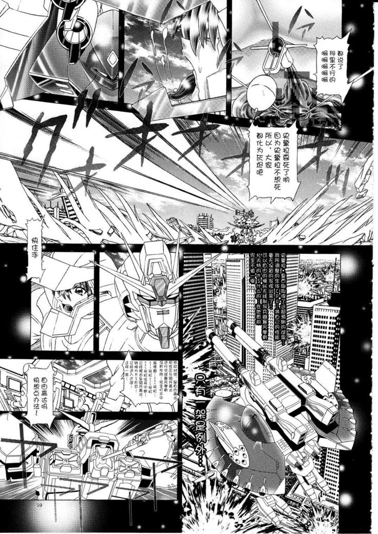 RANDOM NUDE Vol.592【ステラル・ルーシェ】【中国語】