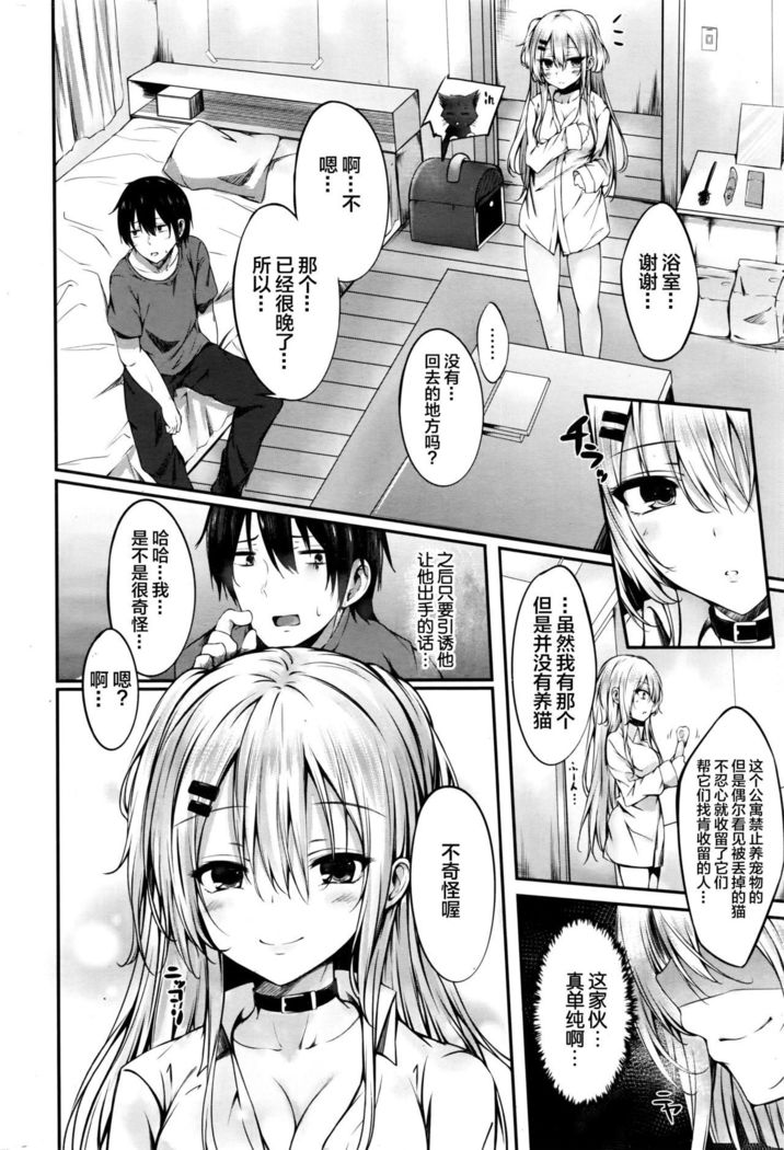 ワタリネコ