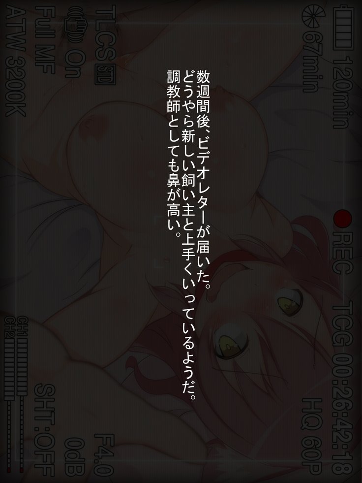犬のしわせVol。一つ