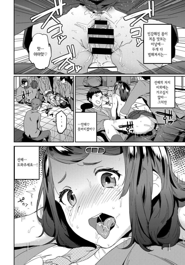 본심/本都のきもち