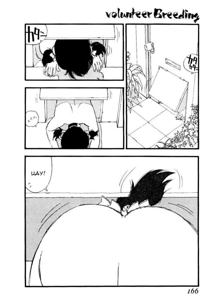 ボランティア育種Ch.8