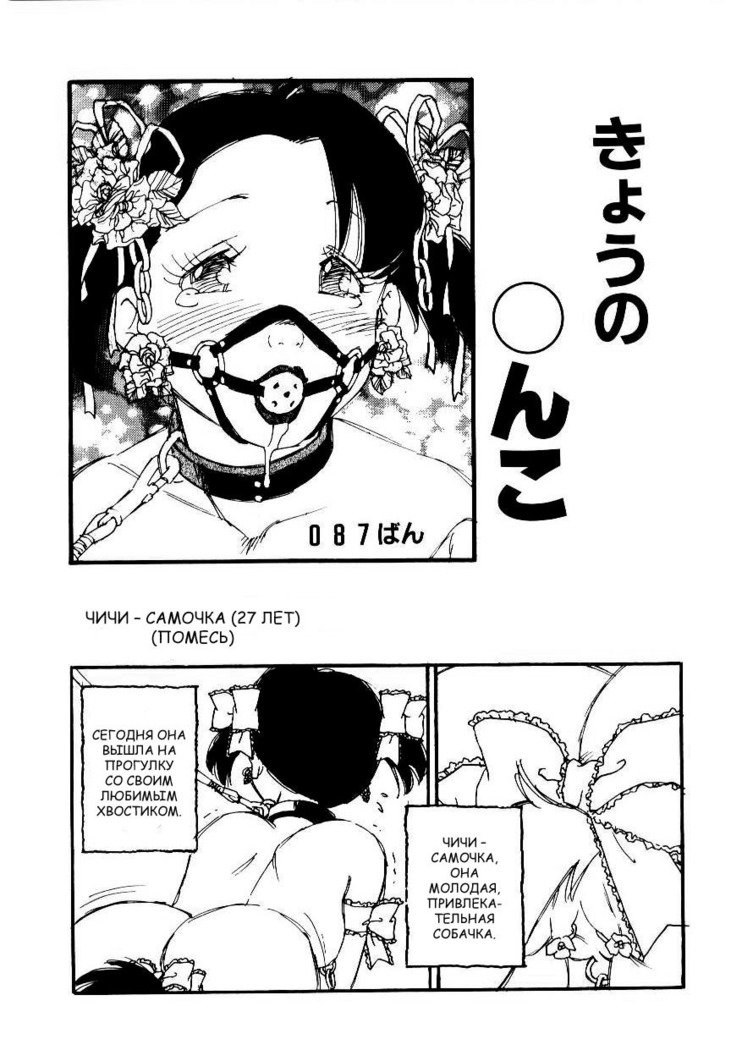 ボランティア育種Ch.8