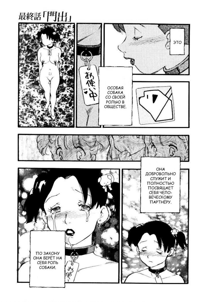 ボランティア育種Ch.8