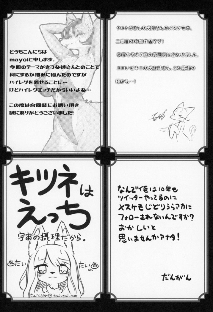 きつねえさん3