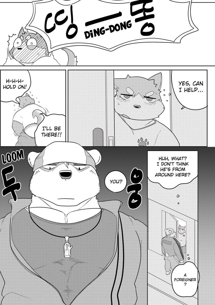 キラーホエール＆amp; NiteRite