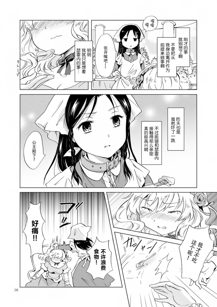 姫様と奴隷ちゃん