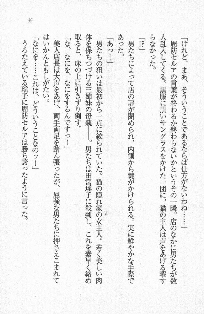 メイド喫茶　猫の隠れ家