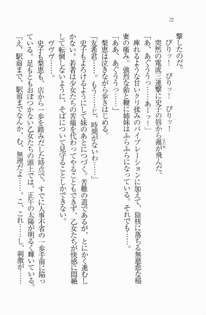 メイド喫茶　猫の隠れ家