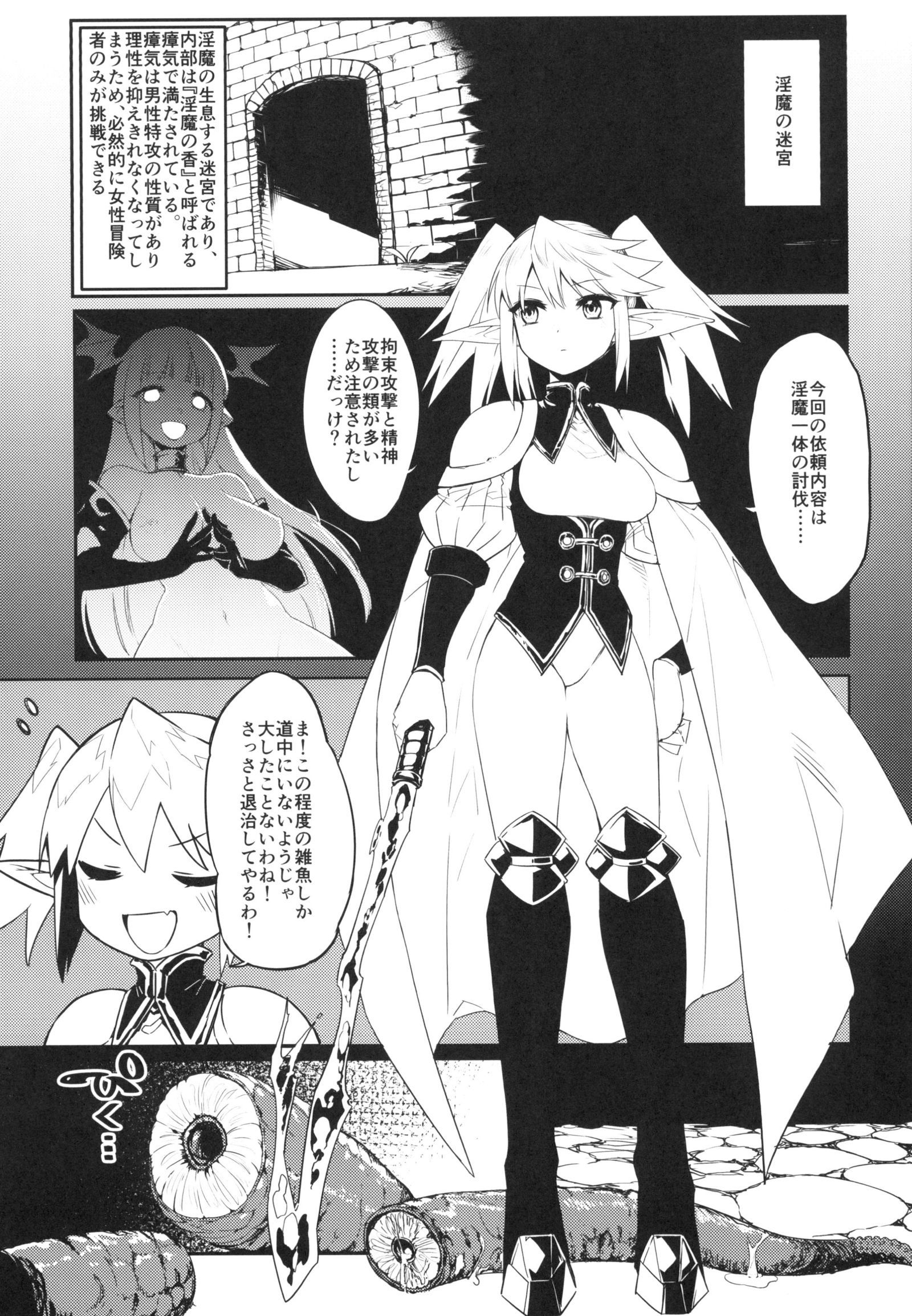 淫魔の迷宮