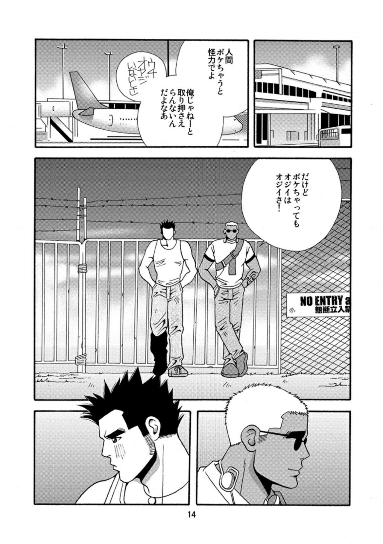 沖縄の大石水