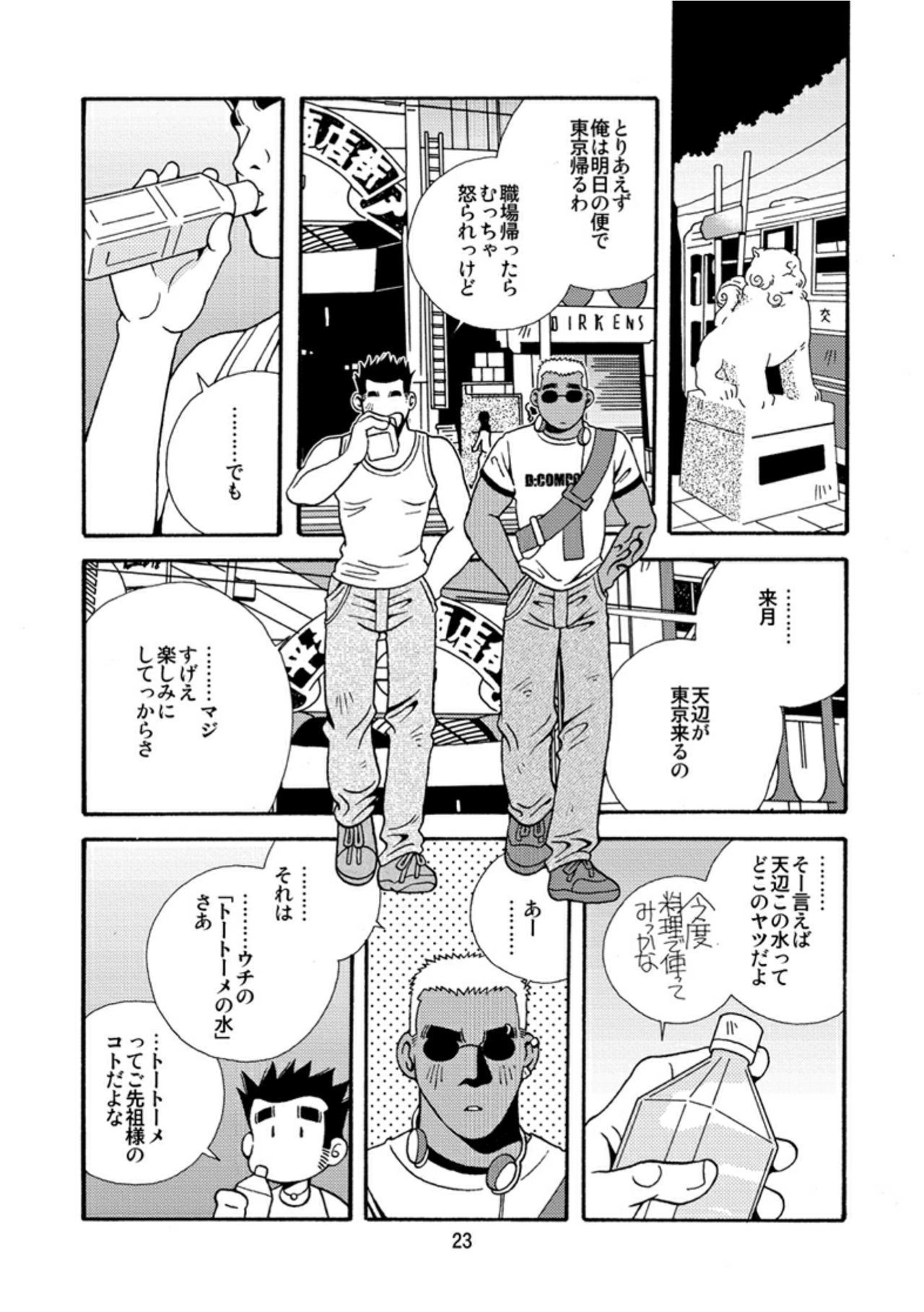 沖縄の大石水