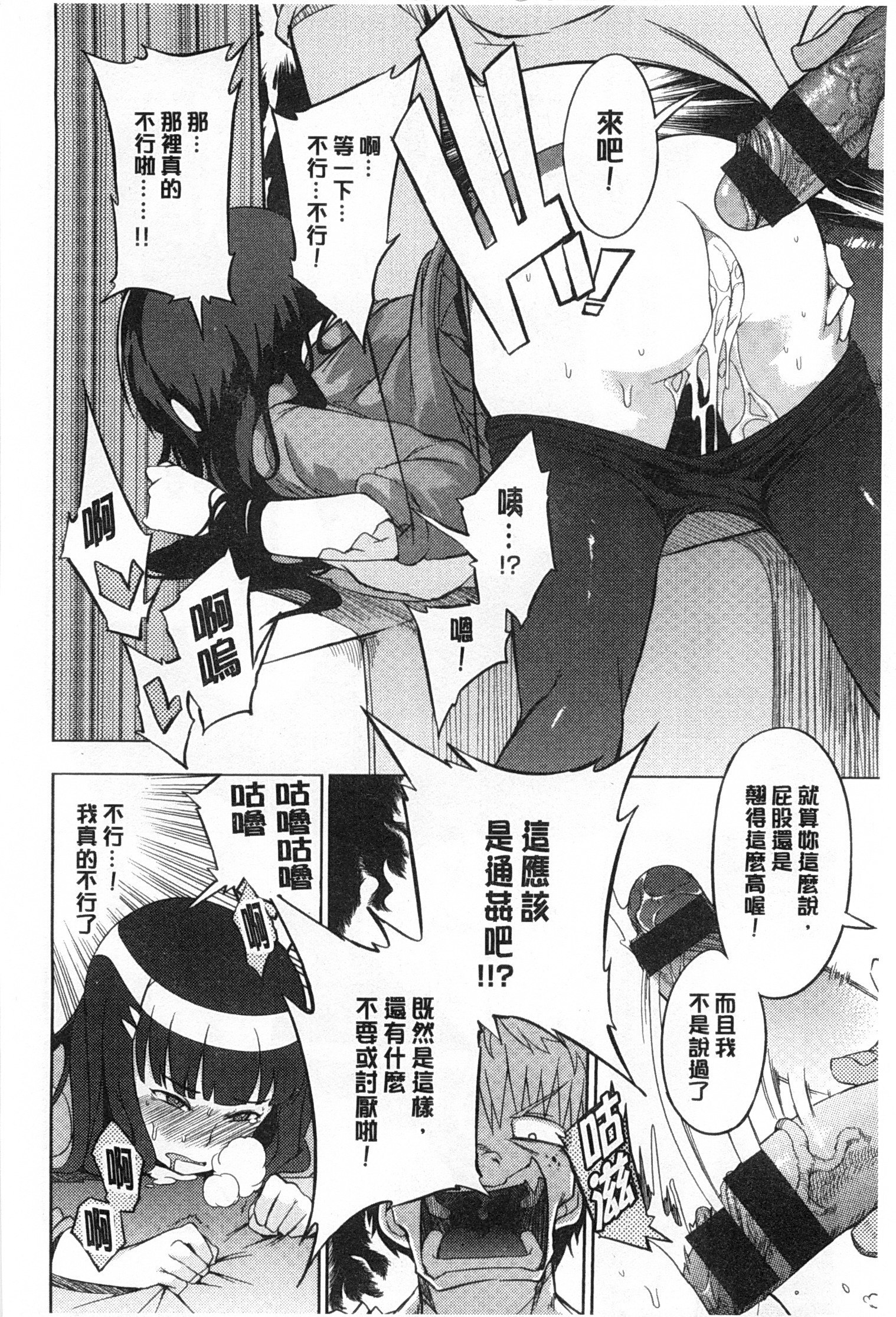こうきしんはねこををもする