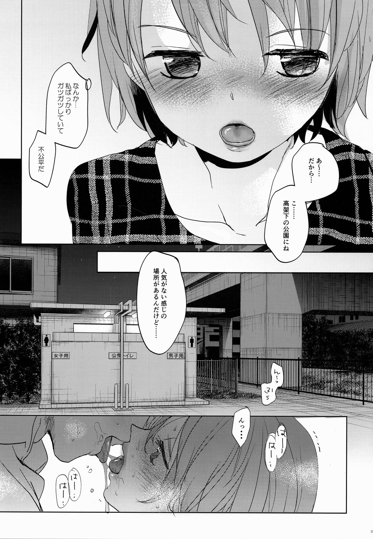 (C97) [おかだ亭 (岡田コウ)] わたしと兄の日常2