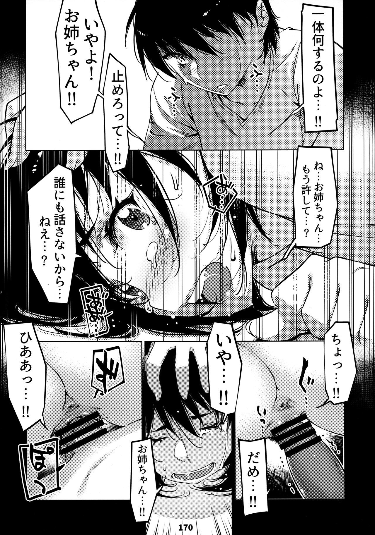 おとなのおもちや12双葉の大花まとめ12