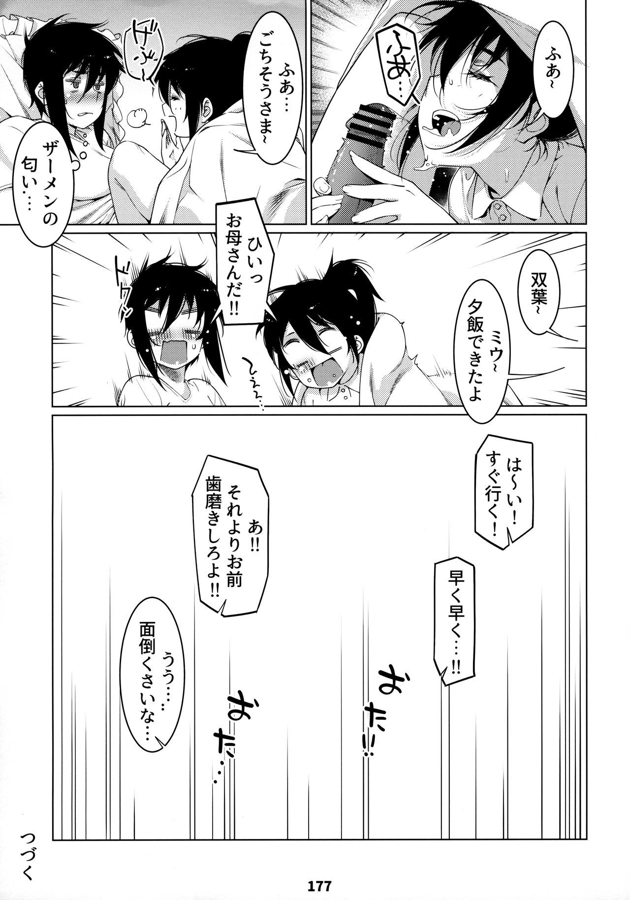おとなのおもちや12双葉の大花まとめ12