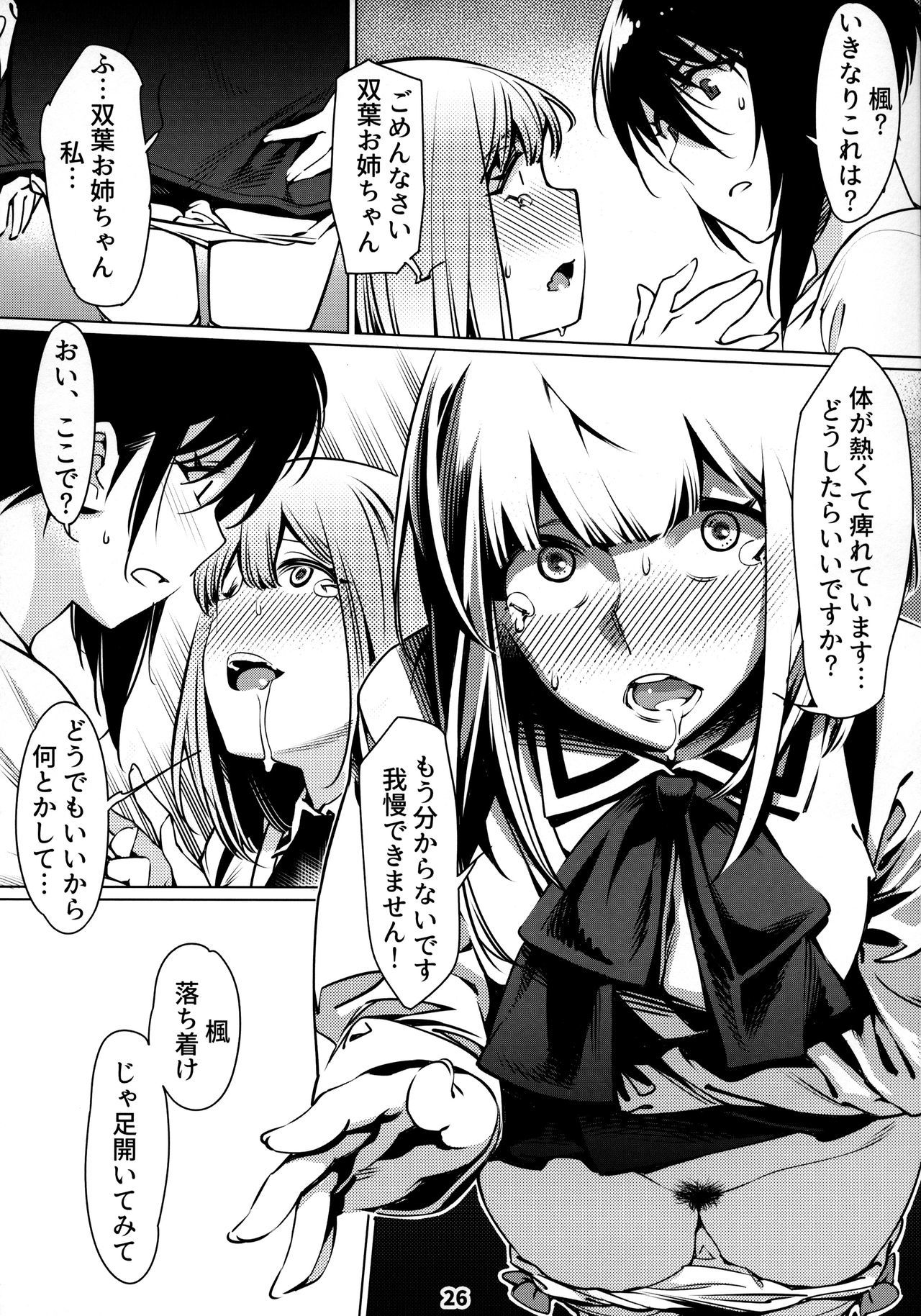 おとなのおもちや12双葉の大花まとめ12
