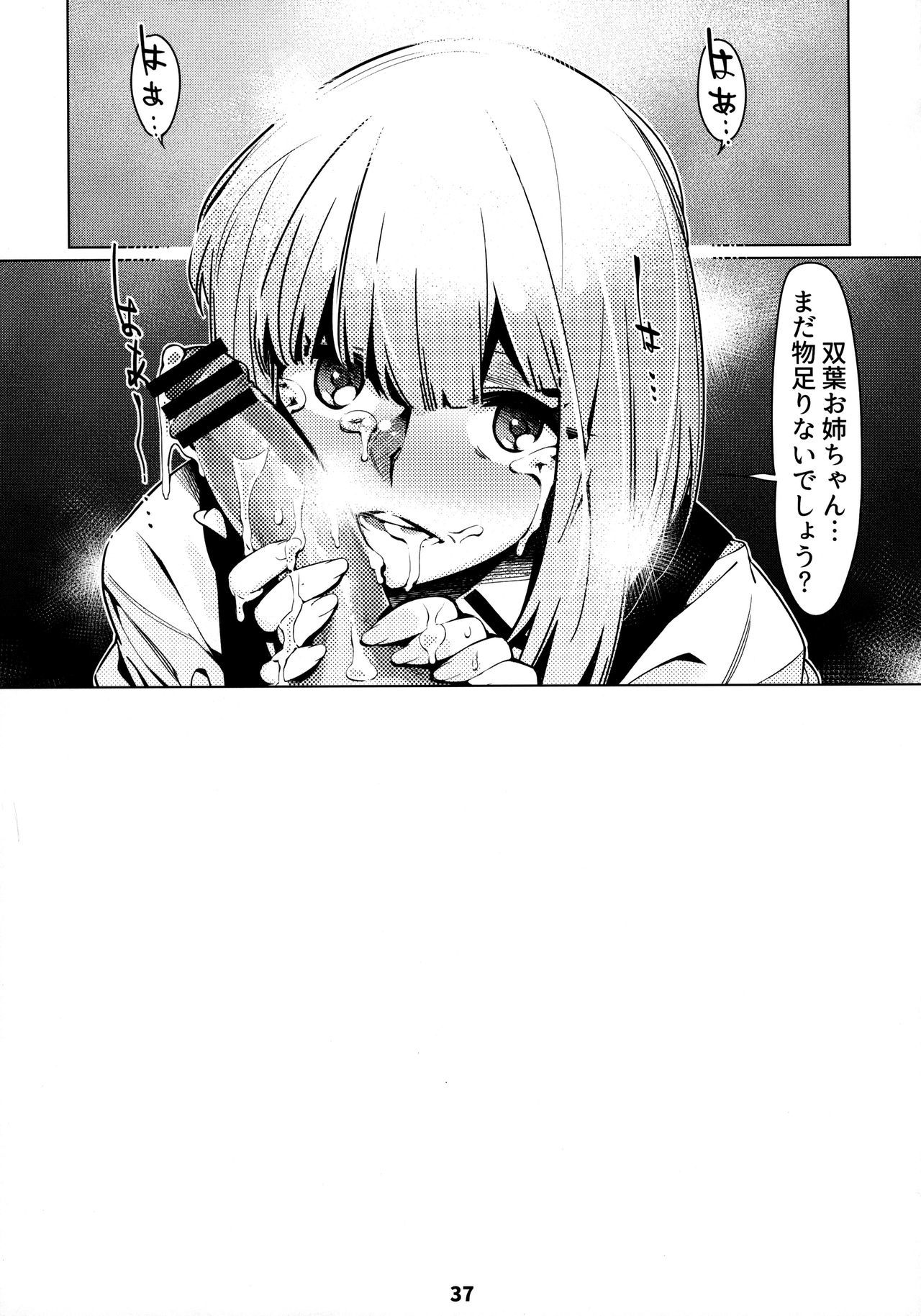 おとなのおもちや12双葉の大花まとめ12