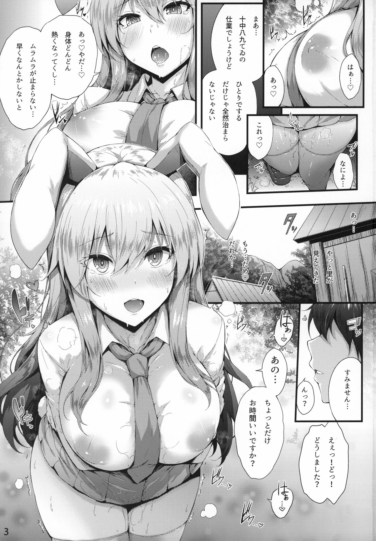 (秋季例大祭6) [YuKi-IRo (ゆきうさぎ。)] みだれうさぎ (東方Project)