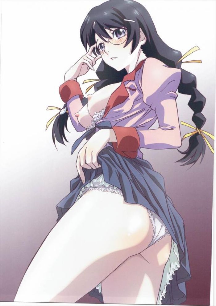 (C90) [STUDIO PAL (南野琴)] まとめた物語・弐 (化物語)