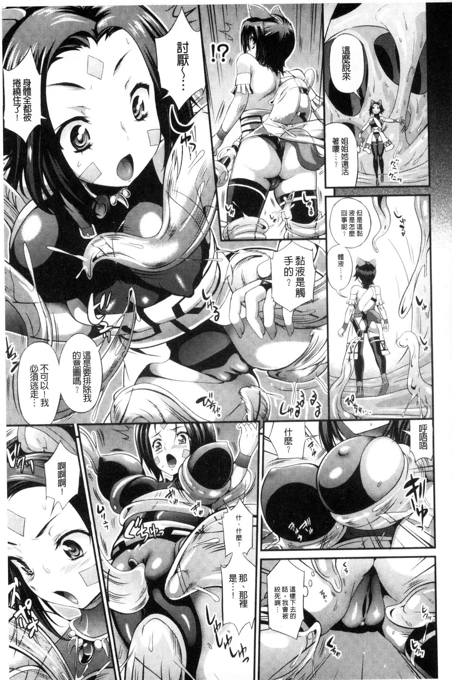 武装戦姫～触悦の贄～