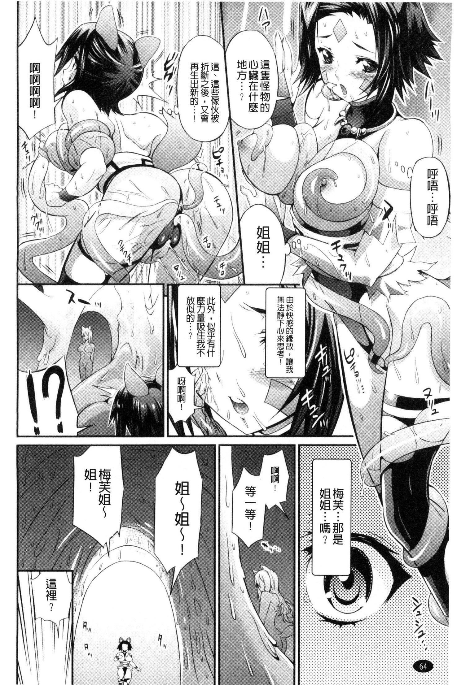 武装戦姫～触悦の贄～