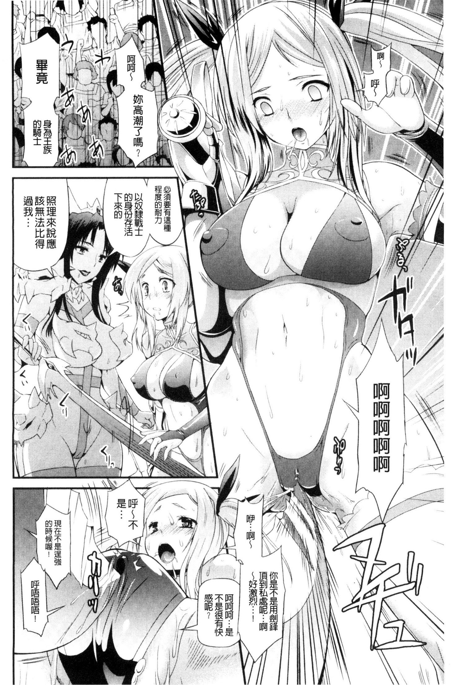 武装戦姫～触悦の贄～