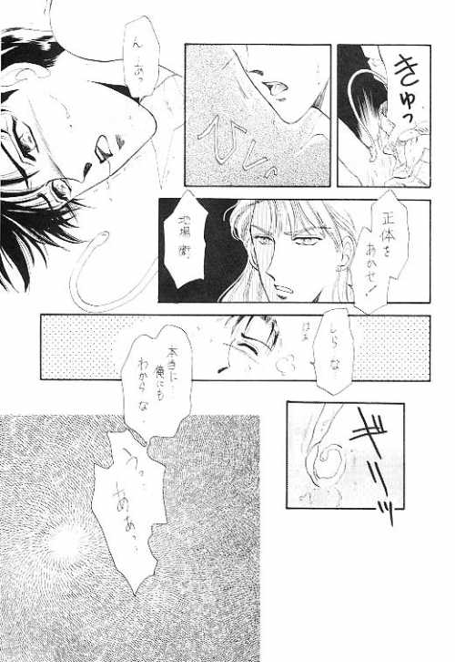 [大密党 (速水真澄, 徳川蘭子)] ほものほん SIDE A (セーラームーン)
