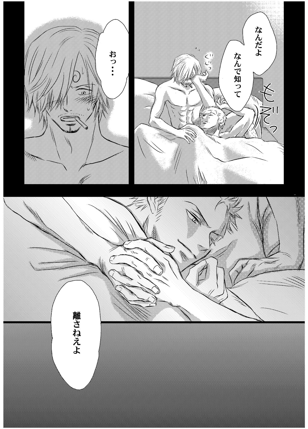 [manatee (さゆめ)] 引力で離さない (ワンピース) [DL版]