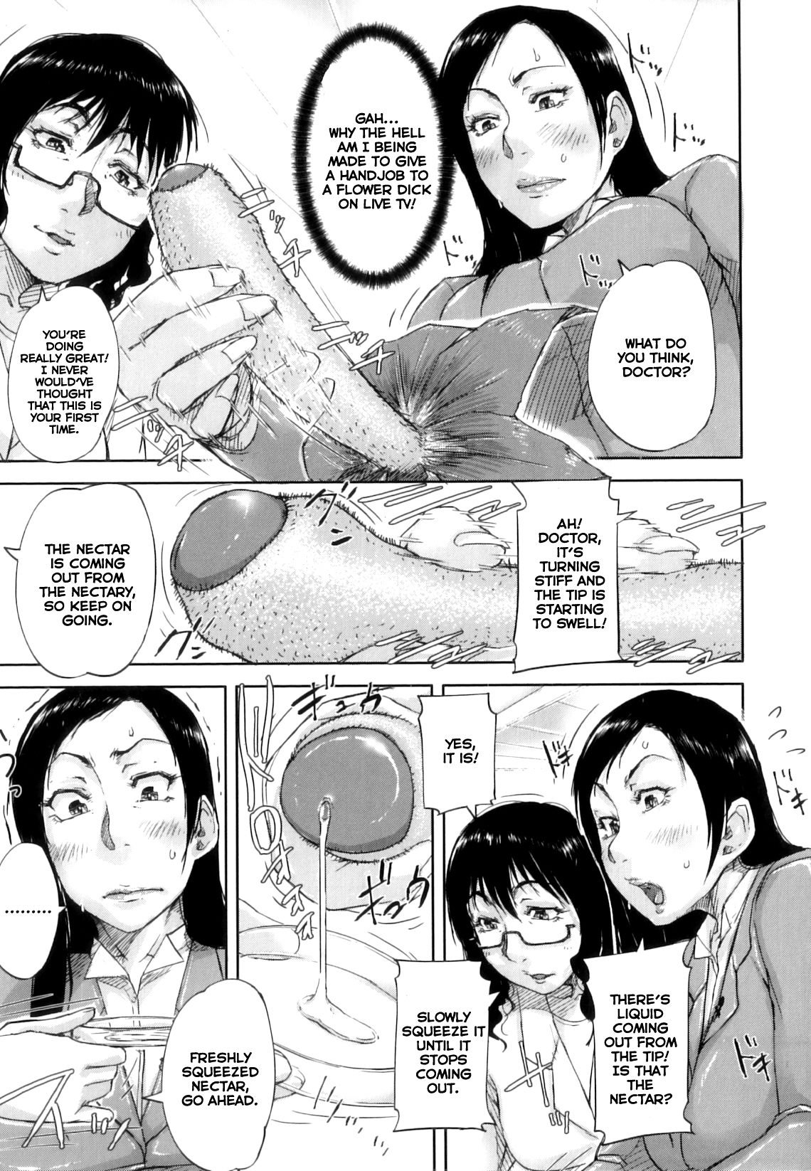 [さいやずみ] 性殖樹 <女子アナ編> (性殖樹) [英訳]