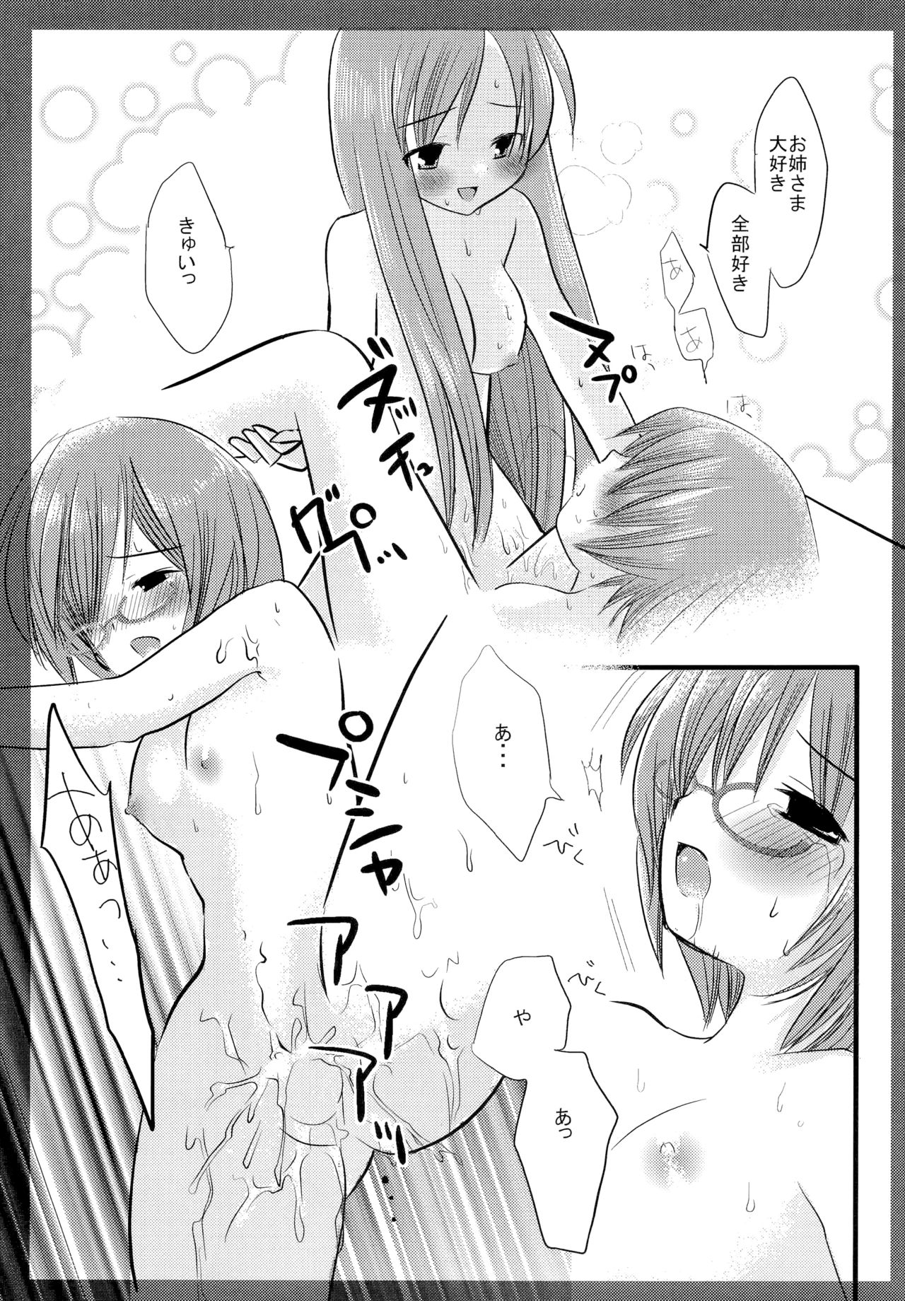 (サンクリ35) [ナギヤマスギ (那岐山)] タバサ&シルフィ (ゼロの使い魔)