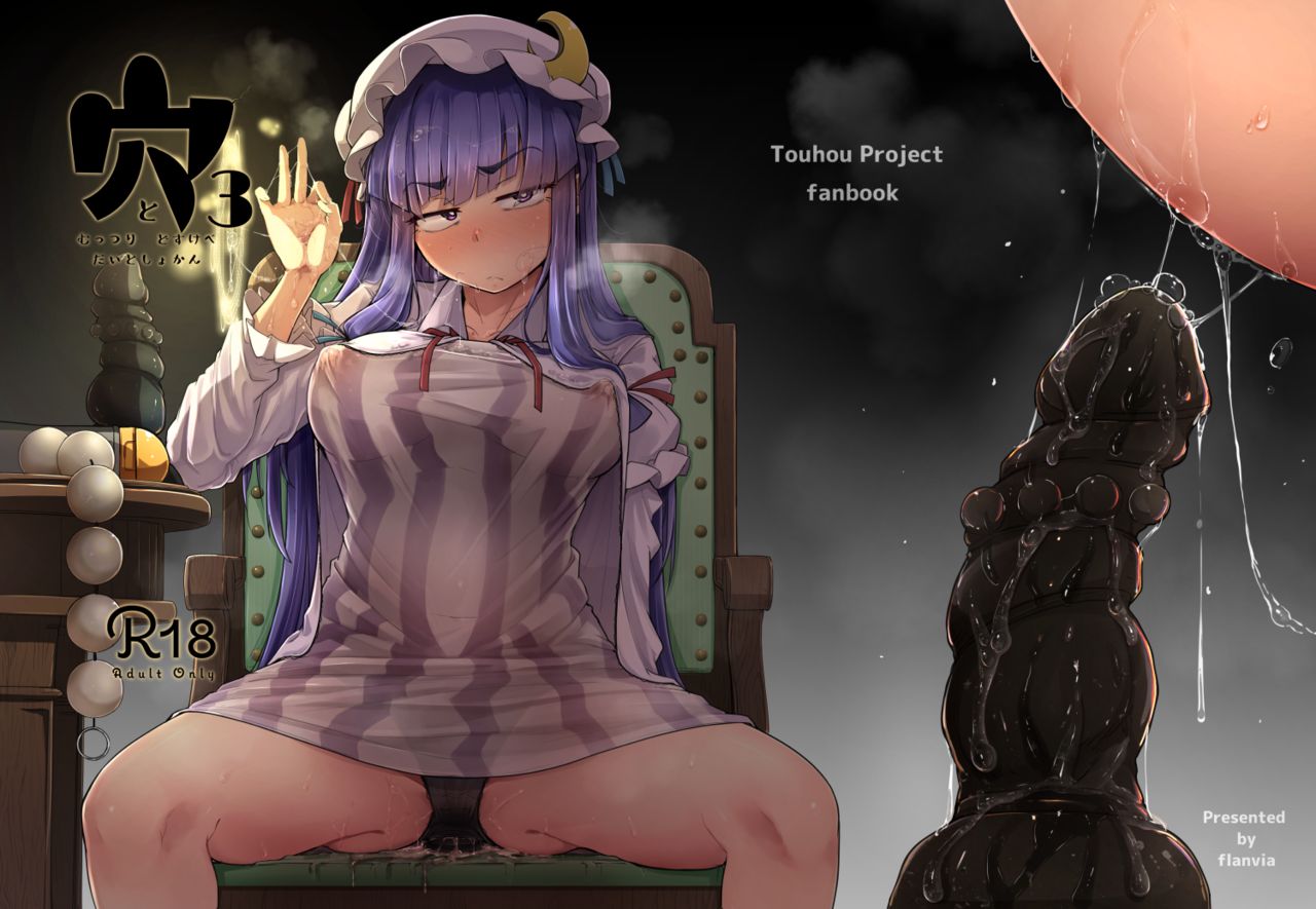 [自家発電処 (flanvia)] 穴とむっつりどすけべだいとしょかん 3 (東方Project) [DL版]