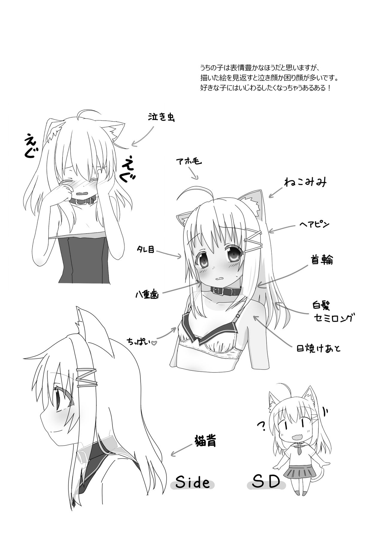 [すてるす工房 (すてるすらいたー)] うちの子いじくり本 [DL版]