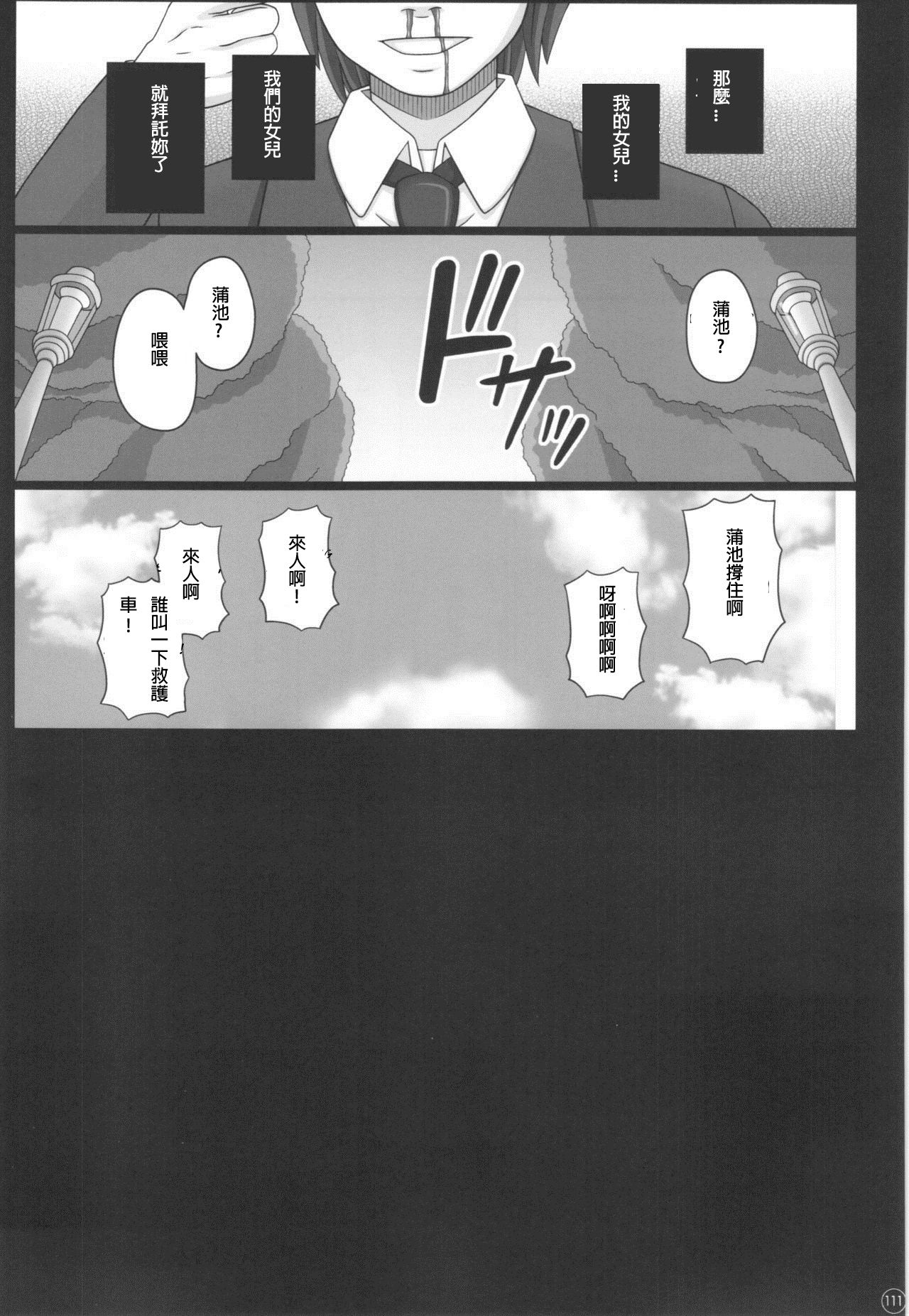 (C88) [幸せ共和国 (幸せのかたち)] かたしぶっ40週＋会場限定本 [中国翻訳]