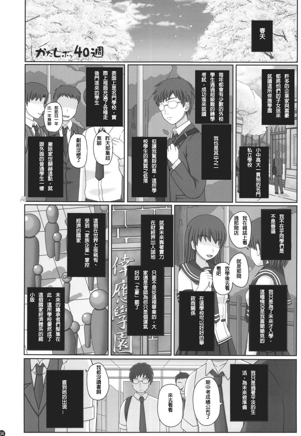 (C88) [幸せ共和国 (幸せのかたち)] かたしぶっ40週＋会場限定本 [中国翻訳]
