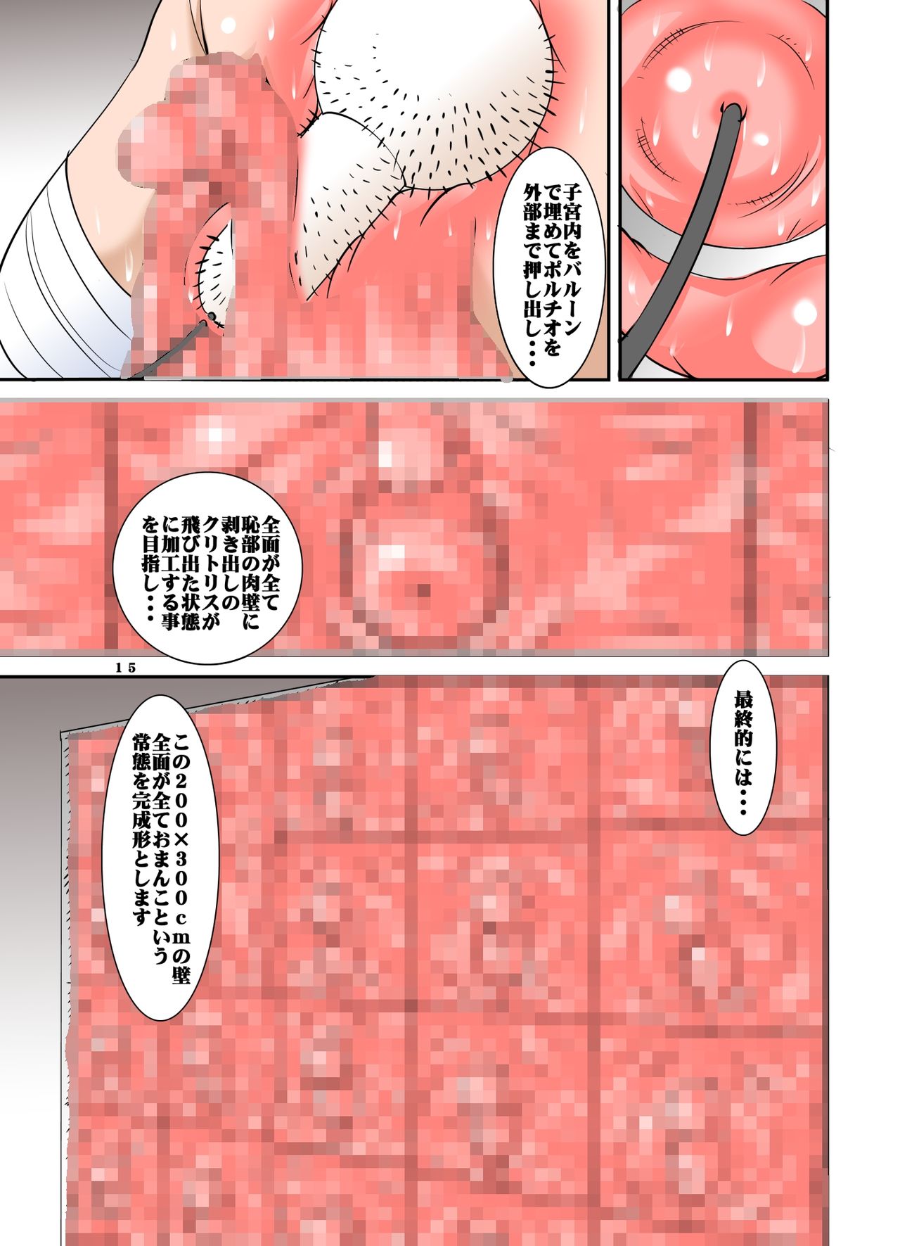[アルゴラグニア (みこしろ本人)] 四肢切断少女拷問虐待館のメイドさんVOL3 [DL版]
